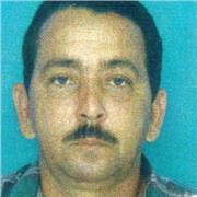 Profesor de apoyo Escolar especializado en clase para adultos y niños de forma presencial totalmente personalizadas particulares t